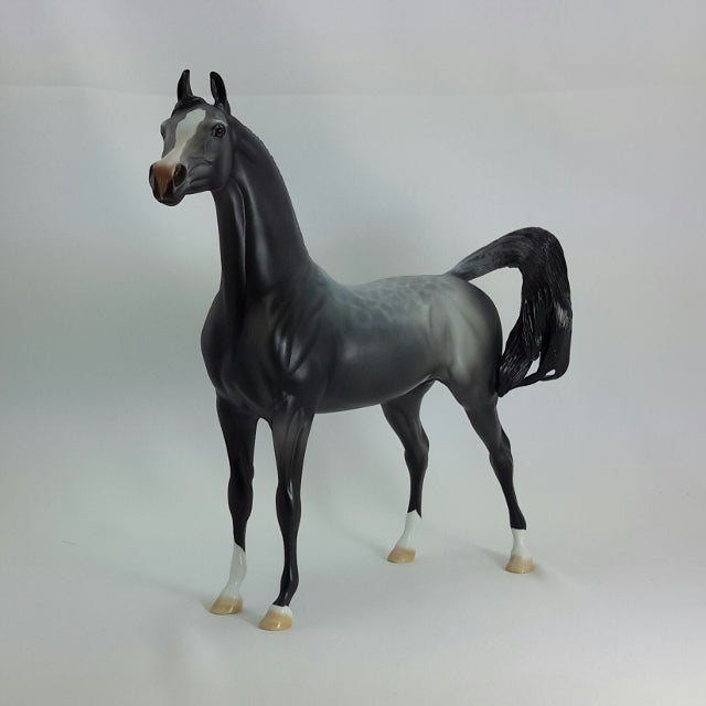 SEBASTIAN - OOAK Gray Arabian 11/14