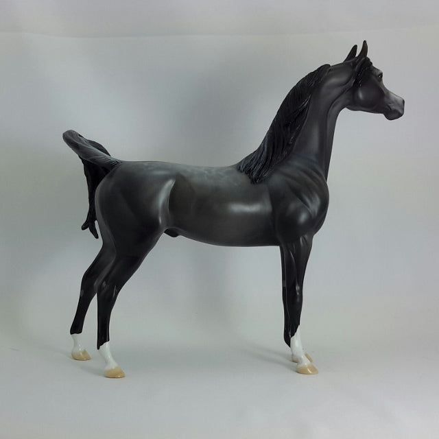 SEBASTIAN - OOAK Gray Arabian 11/14