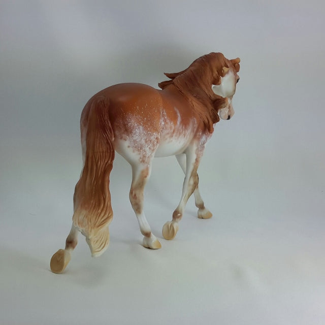 LUCRECIA - OOAK Chestnut Sabino Pinto Palouse  11/14