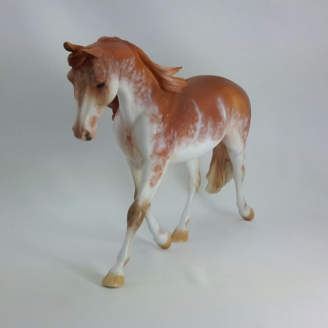 LUCRECIA - OOAK Chestnut Sabino Pinto Palouse  11/14