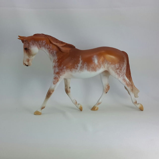 LUCRECIA - OOAK Chestnut Sabino Pinto Palouse  11/14