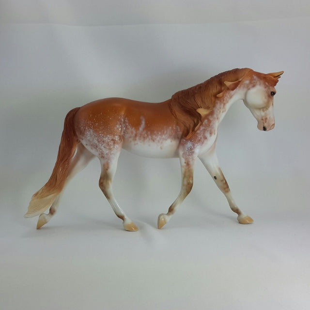 LUCRECIA - OOAK Chestnut Sabino Pinto Palouse  11/14