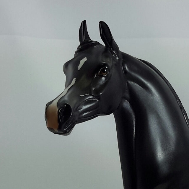 GILBERT - OOAK Dark Gray Arabian Model Horse - 11/14