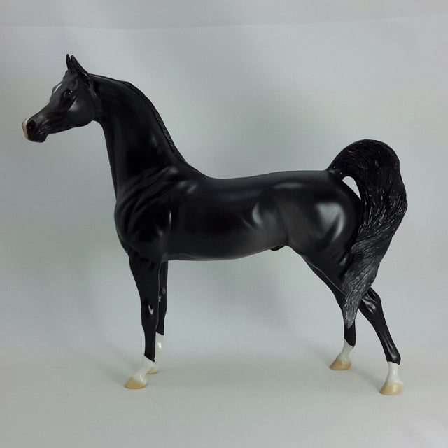 GILBERT - OOAK Dark Gray Arabian Model Horse - 11/14