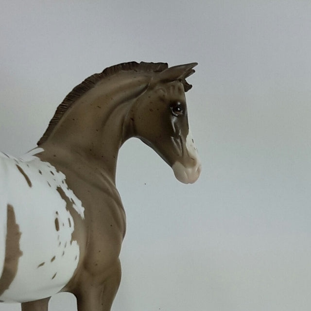 NELLIE - OOAK Chestnut Appaloosa Weanling  11/14