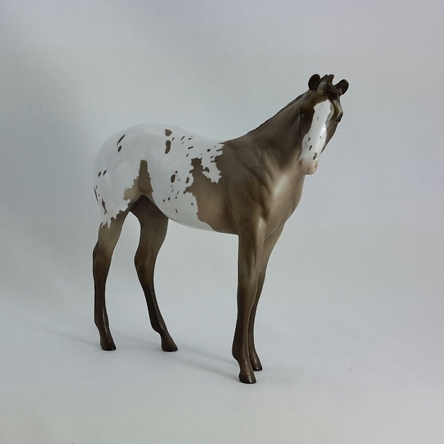 NELLIE - OOAK Chestnut Appaloosa Weanling  11/14