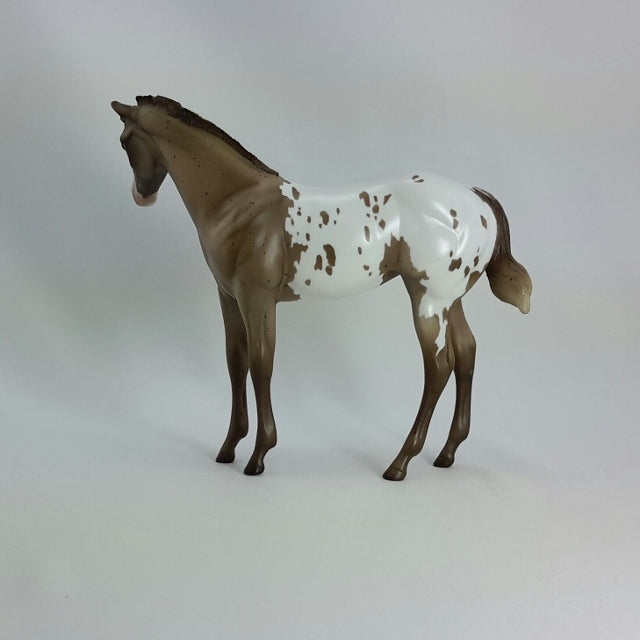 NELLIE - OOAK Chestnut Appaloosa Weanling  11/14