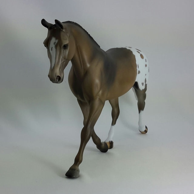 CLAUDETTE - OOAK Appaloosa Palouse  11/14