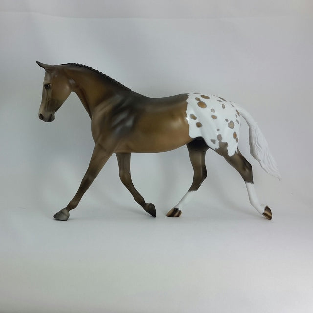 CLAUDETTE - OOAK Appaloosa Palouse  11/14