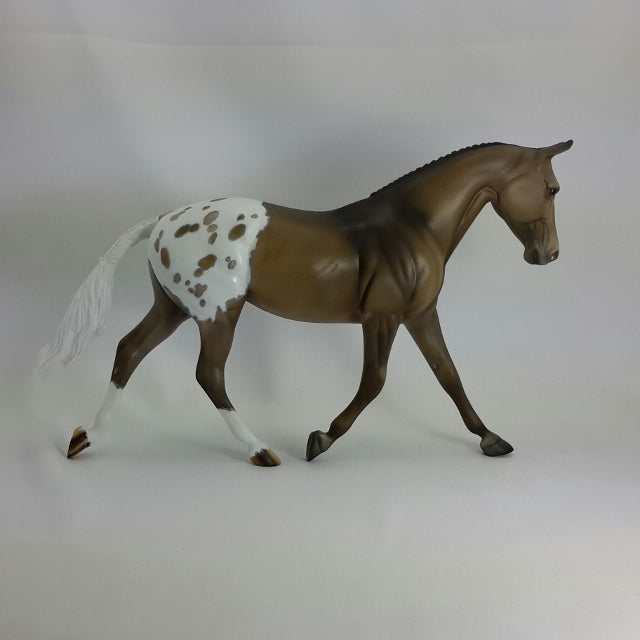 CLAUDETTE - OOAK Appaloosa Palouse  11/14