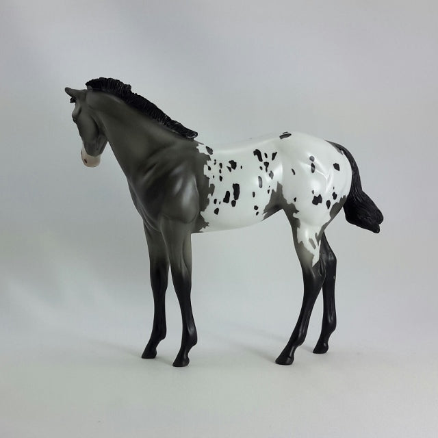 JOSIE - OOAK Gray Appaloosa Weanling  11/14