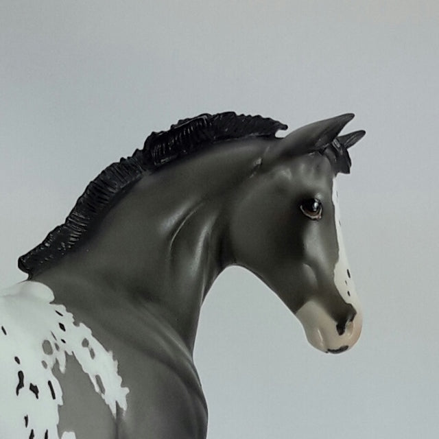 JOSIE - OOAK Gray Appaloosa Weanling  11/14