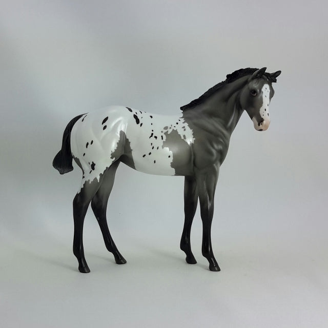 JOSIE - OOAK Gray Appaloosa Weanling  11/14