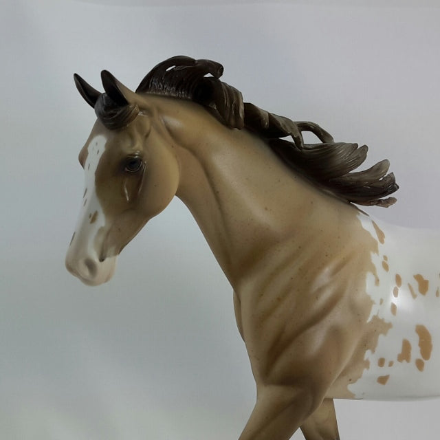 ERNEST - OOAK Buckskin Appaloosa Pony  11/14