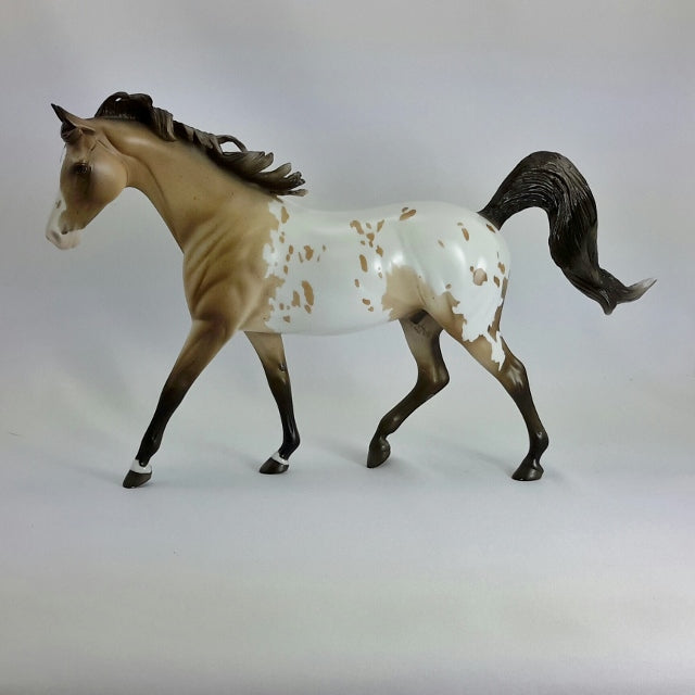 ERNEST - OOAK Buckskin Appaloosa Pony  11/14