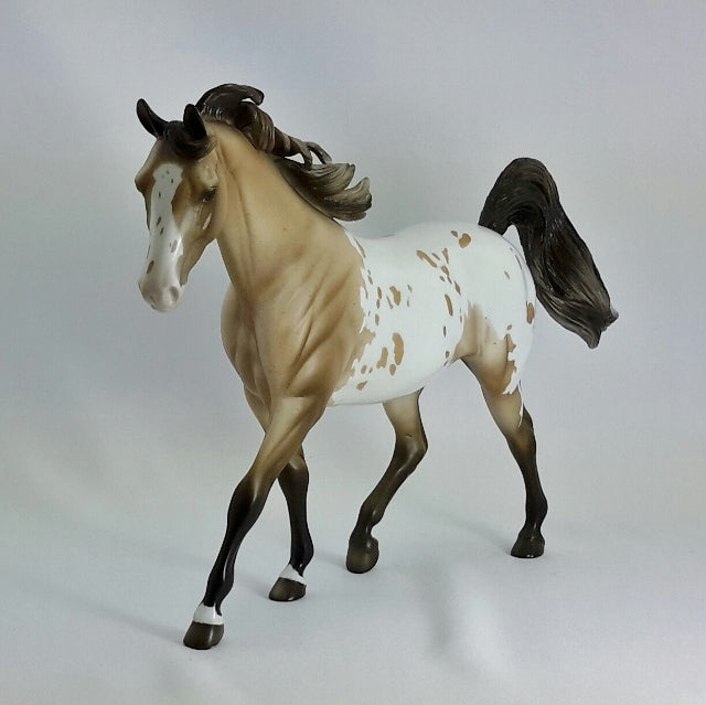 ERNEST - OOAK Buckskin Appaloosa Pony  11/14
