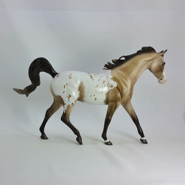 ERNEST - OOAK Buckskin Appaloosa Pony  11/14