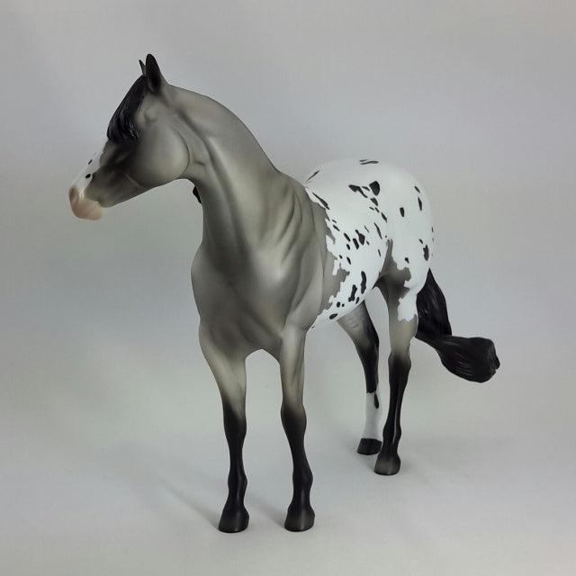 MATTIE - OOAK Gray Appaloosa Stock Horse  11/14