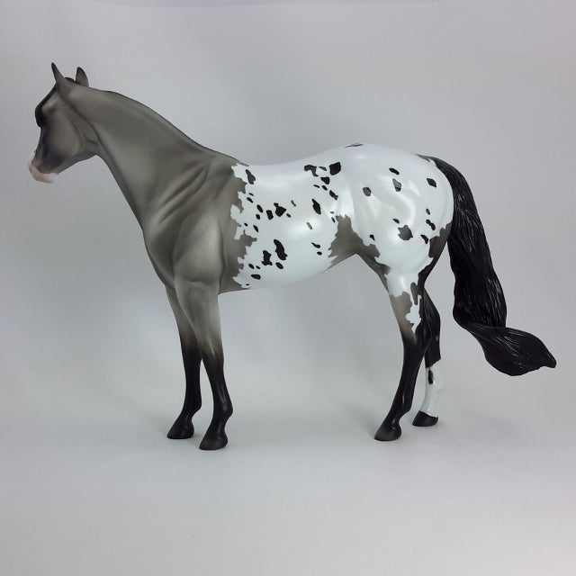 MATTIE - OOAK Gray Appaloosa Stock Horse  11/14