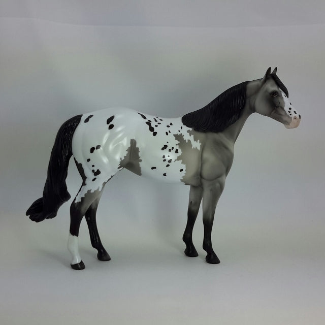 MATTIE - OOAK Gray Appaloosa Stock Horse  11/14