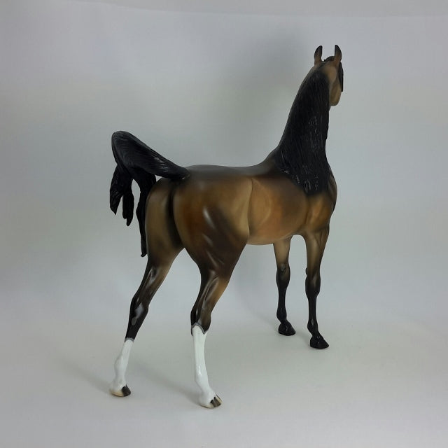 VALENTINO - OOAK Dapple Bay Arabian  11/14