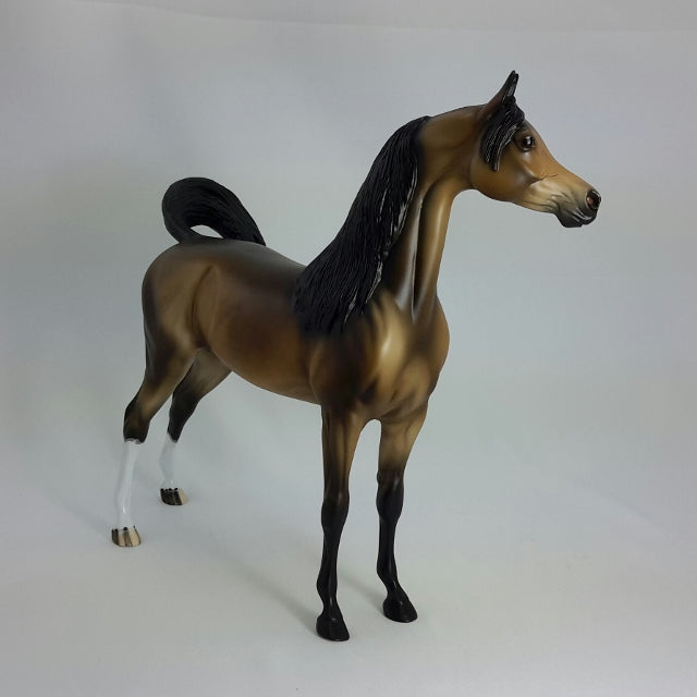 VALENTINO - OOAK Dapple Bay Arabian  11/14