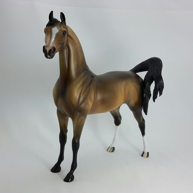 VALENTINO - OOAK Dapple Bay Arabian  11/14