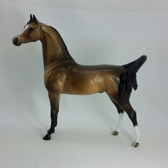 VALENTINO - OOAK Dapple Bay Arabian  11/14