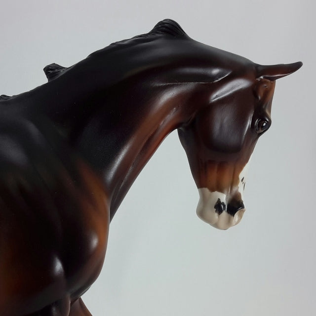 ERNEST - OOAK Seal Bay Appaloosa Thoroughbred with Swishing Tail