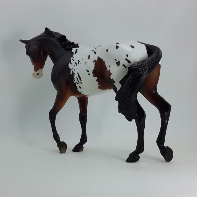 ERNEST - OOAK Seal Bay Appaloosa Thoroughbred with Swishing Tail