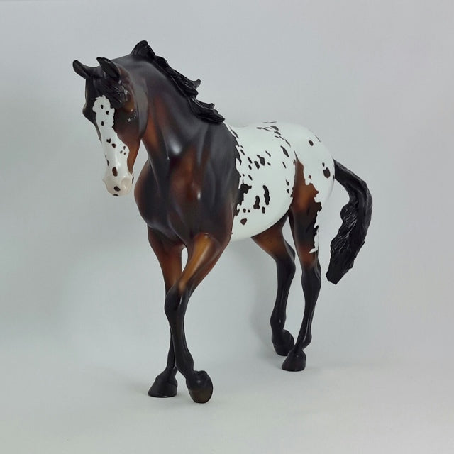 ERNEST - OOAK Seal Bay Appaloosa Thoroughbred with Swishing Tail