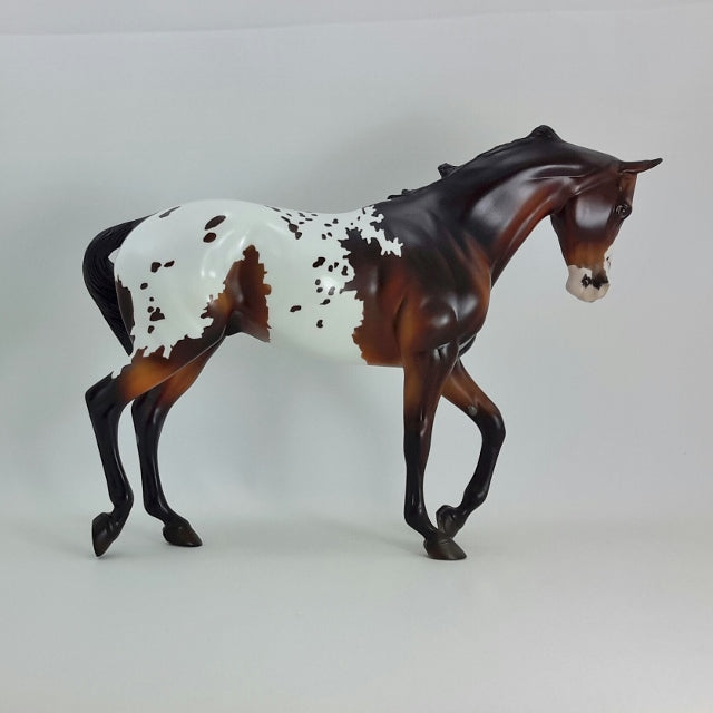 ERNEST - OOAK Seal Bay Appaloosa Thoroughbred with Swishing Tail