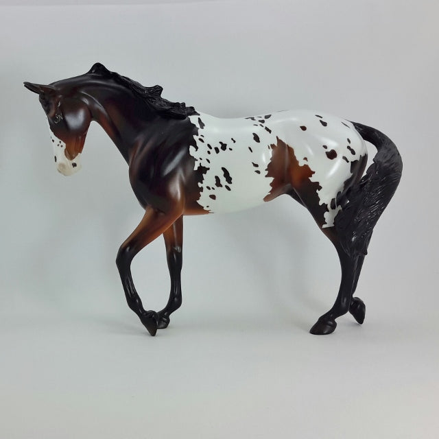 ERNEST - OOAK Seal Bay Appaloosa Thoroughbred with Swishing Tail