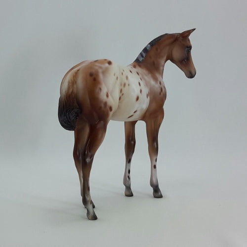 SIMONE - OOAK Red Bay Appaloosa Weanling