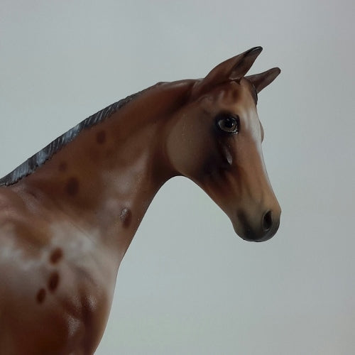 SIMONE - OOAK Red Bay Appaloosa Weanling