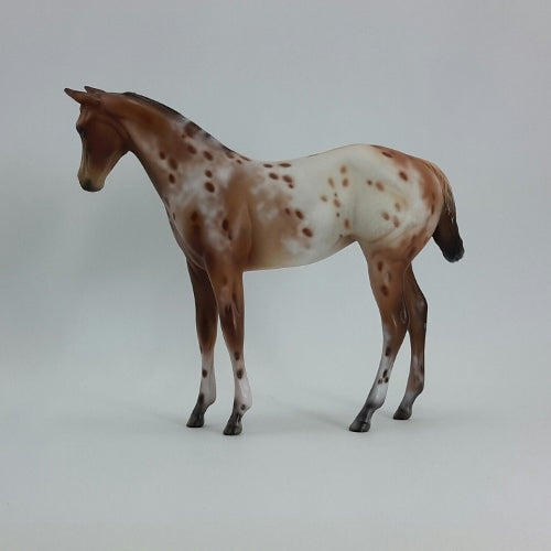 SIMONE - OOAK Red Bay Appaloosa Weanling