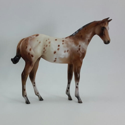 SIMONE - OOAK Red Bay Appaloosa Weanling