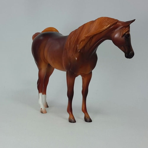 KHALED - OOAK DAPPLE CHESTNUT ARAB PEBBLE BY CAROLINE BOYDSTON