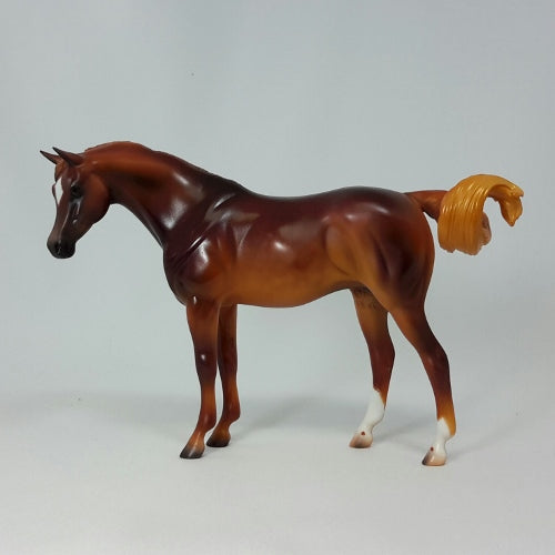 KHALED - OOAK DAPPLE CHESTNUT ARAB PEBBLE BY CAROLINE BOYDSTON