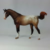 DEION - OOAK BAY APPALOOSA PEBBLES BY CAROLINE BOYDSTON