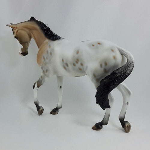CORN DANCE - Buckskin Appaloosa Thoroughbred