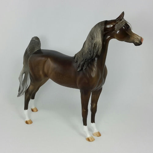 MAYFLOWER LANDING - OOAK Chocolate Arabian
