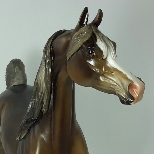 MAYFLOWER LANDING - OOAK Chocolate Arabian