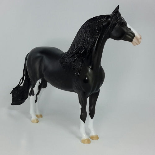 GIBLETS &amp; GRAVY - OOAK Black Dapple Morgan