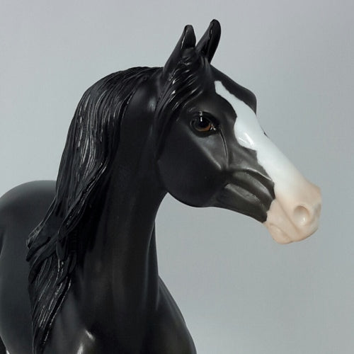 GIBLETS &amp; GRAVY - OOAK Black Dapple Morgan