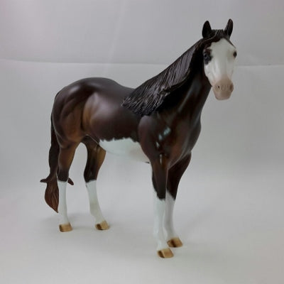 YORKSHIRE PUDDIN&#39; - OOAK Dapple Brown Stock Horse