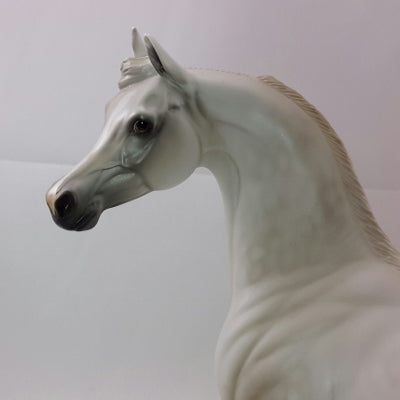 MASHED POTATOES - OOAK Light Dapple Gray Arabian