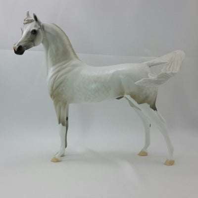 MASHED POTATOES - OOAK Light Dapple Gray Arabian