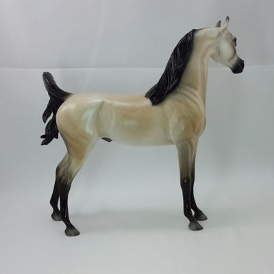 DELICIOUS - OOAK Buttermilk Buckskin Arabian
