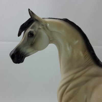 DELICIOUS - OOAK Buttermilk Buckskin Arabian